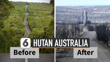 Potret Sebelum dan Sesudah Kebakaran Hutan Australia