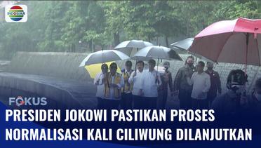 Presiden Jokowi Pastikan Proyek Normalisasi Kali Ciliwung Bakal Dilanjutkan | Fokus