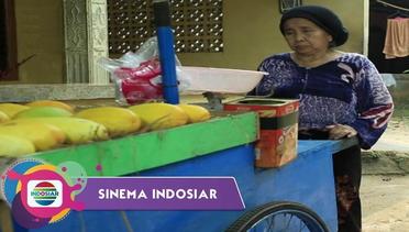 Sinema Indosiar - Hadiah Terindah Bagi Penjual Timun Suri