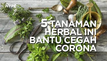 5 Tanaman Herbal Ini Bantu Cegah Corona