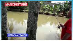 Hafiyyan Fawwaz Fishing Collection 11 [ Hobby Mancing Mania ] Mancing Ikan Mujair Di Empang