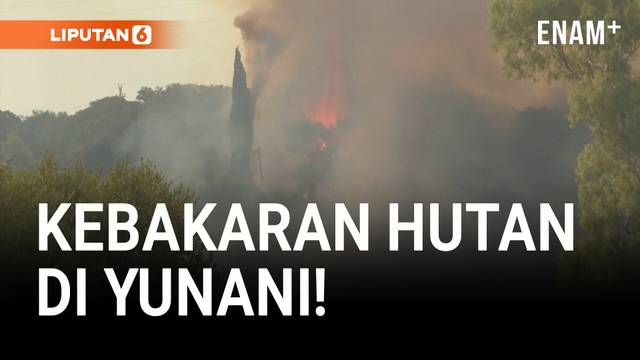 Kebakaran Hutan Landa Pinggiran Patras, Yunani