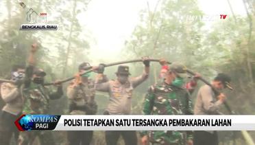 Polisi Tetapkan Satu Tersangka Pembakaran Lahan di Kabupaten Bengkalis, Riau