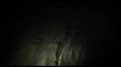 Blair Witch Official International Trailer 1 (2016) - Horror Movie