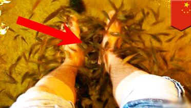 Bau kaki pria ini mampu membunuh ikan di fish spa! - TomoNews