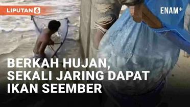 Berkah Hujan, Pria Sukses Borong Ikan Seember Sekali Jaring di Bojonegoro