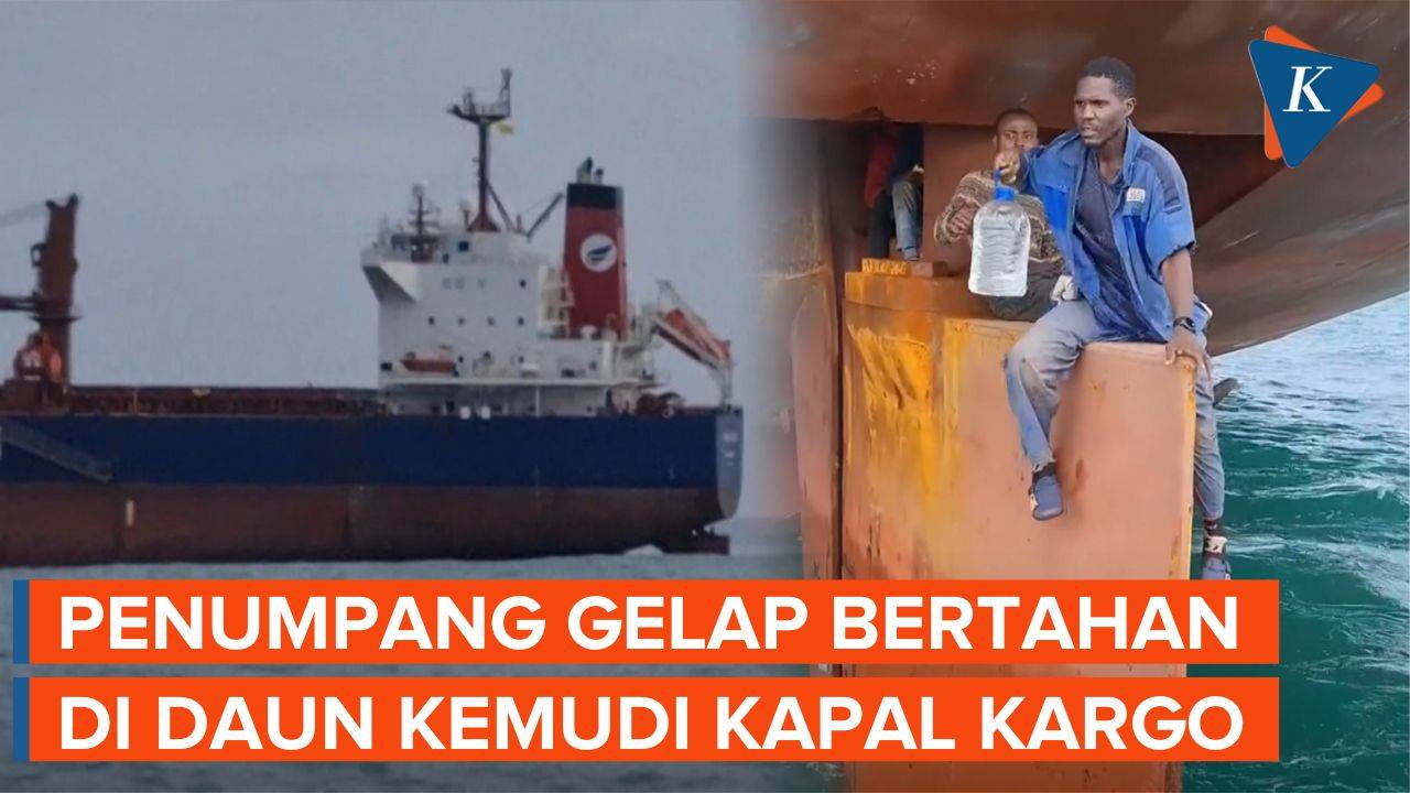 Cerita Penumpang Gelap Bertahan 14 Hari di Daun Kemudi Kapal Kargo