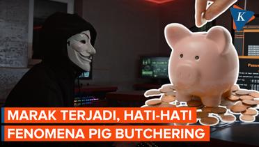 Fenomena "Pig Butchering" di Indonesia, Berawal dari DM Instagram Berujung Rugi Rp 500-an Juta
