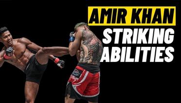 Amir Khan’s KNOCKOUT Striking Abilities
