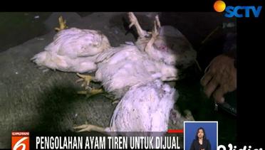 Sigi: Mengungkap Penjualan Ayam Tiren (3/3) - Liputan 6 Siang