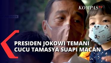 Momen Jokowi Temani Cucu Bertamasya di Bali Safari Park, Jan Ethes Coba Suapi Harimau!