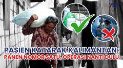 Pasien Katarak Kalimantan: Panen Nomor Satu, Operasi Nanti Dulu.