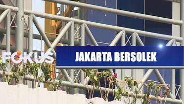 Jakarta Terus Bersolek, Usai Batu Gabion Kini Ada Bunga Bougenville - Fokus Pagi