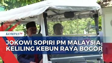 Presiden Jokowi Sopiri PM Malaysia Anwar Ibrahim Keliling Kebun Raya Bogor