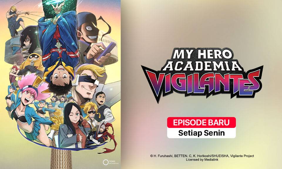 My Hero Academia: Vigilantes