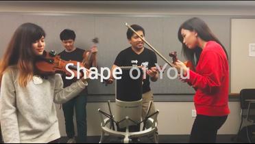 Shape of You (Ed Sheeran) Violins Cover