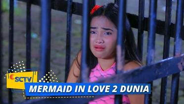 Highlight Mermaid In Love 2 Dunia - Episode 33