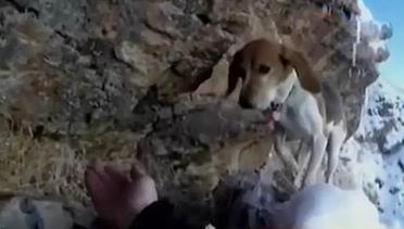 Taruna STIP Cilincing Tewas hingga Upaya Penyelamatan Anjing