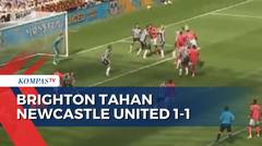 Hasil Liga Primer Inggris 2023-202: Brighton Tahan Newcastle United 1-1