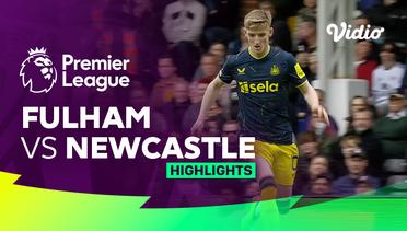 Fulham vs Newcastle - Highlights | Premier League 23/24