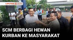 SCM Salurkan 11 Sapi dan 60 Kambing untuk Masyarakat di Momen Iduladha 1446 H | Liputan 6