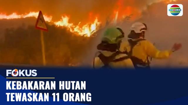 Tragedi Kebakaran Hutan di Spanyol, 11 Orang Tewas, 19 Korban Hilang | Fokus