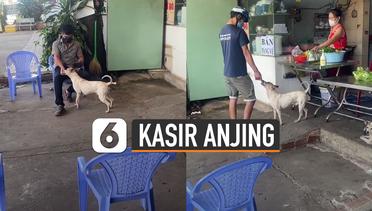 Viral Anjing Bantu Jadi Kasir Restoran Majikan