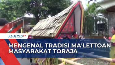 Ma'lettoan, Tradisi Syukur dan Silaturahmi Masyarakat Toraja