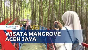 Wisata Mangrove Aceh Jaya Siap Berbenah Demi Menarik Wisatawan