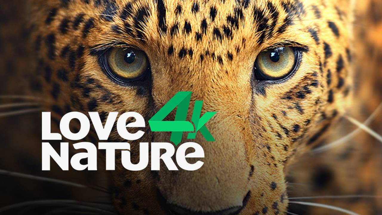 Love Nature Channel Channel Trailer Vidio
