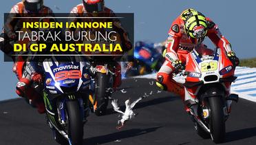 Ini Insiden Iannone Tabrak Burung Camar di MotoGP Australia