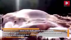 Netizen Dihebobkan beredarnya video bangkai raksasa yang terdampar