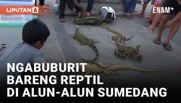 Puluhan Reptil Hibur Masyarakat yang Ngabuburit di Alun-alun Sumedang