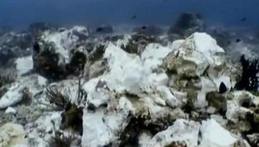 VIDEO: Kerusakan Terumbu Karang Raja Ampat Mencapai 13.500 Meter