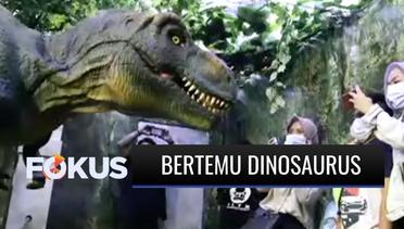 Liburan Seru Bertemu Sejumlah Dinosaurus di Bogor | Fokus