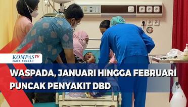 Waspada, Januari hingga Februari Puncak Penyakit DBD