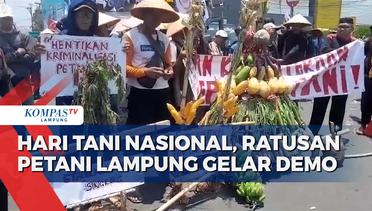 Hari Tani Nasional, Ratusan Petani Lampung Gelar Demo