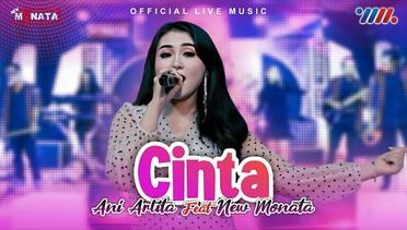 Ani Arlita ft New Monata - Cinta (Official Music Video)