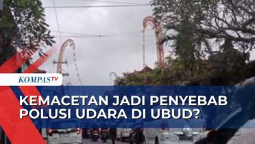 Tanggapan Bupati Gianyar Usai Ubud Sempat Masuk 5 Besar Kota dengan Udara Terkotor di Indonesia