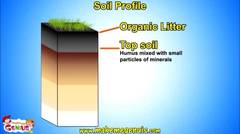 Soil Profile , Structure , Layers