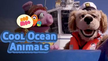 ZooMoo: Cool Ocean Animals