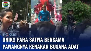Parade Satwa Digelar di Kebun Binatang Surabaya dan Taman Safari Indonesia Bogor | Fokus