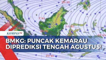 BMKG Prediksi Kemarau Kering Akan Terjadi di Indonesia hingga Agustus 2023!