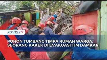 Pohon Tumbang Timpa Rumah Warga, Tim Damkar Evakuasi Seorang Kakek
