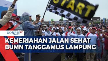 Ribuan Warga Ikuti Jalan Sehat BUMN di Tanggamus Lampung