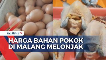 Harga Bahan Pokok Naik, Pedagang Kurangi Stok Ayam Potong dan Telur