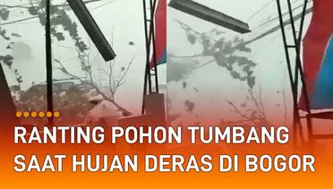 Ngeri, Ranting Pohon Tumbang Saat Hujan Deras di Bogor
