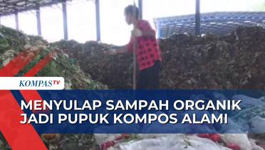 TPA Sanitary Landfill Talang Gulo Berhasil Menyulap Sampah Organik jadi Pupuk Kompos!