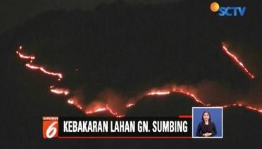 Kobaran Api di Hutan Lindung Gunung Sumbing, Temanggung, Terus Meluas - Liputan6 Siang