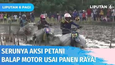 Tradisi Saat Panen Raya di Desa Botto, Petani Balap Motor di Medan Berlumpur! | Liputan 6
